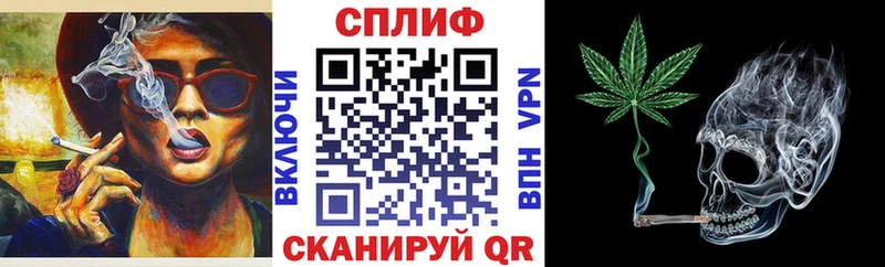 Купить где Орлов Конопля сатива